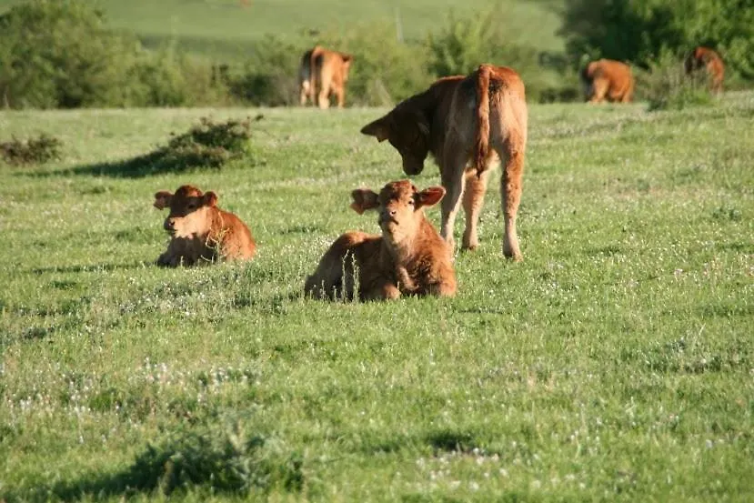 Casa Rural El Ribero I Llanteno Farm stay