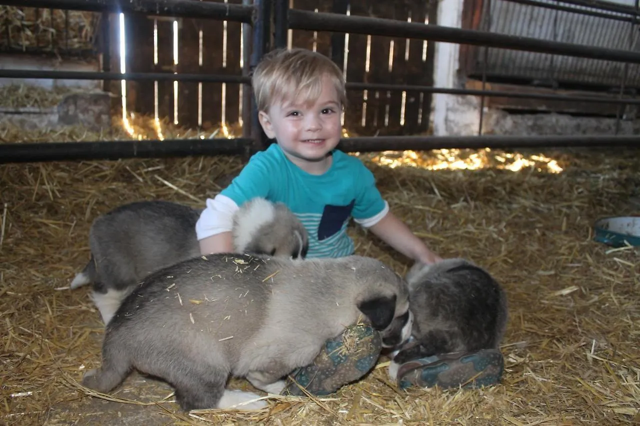 Farm stay Casa Rural El Ribero I Llanteno