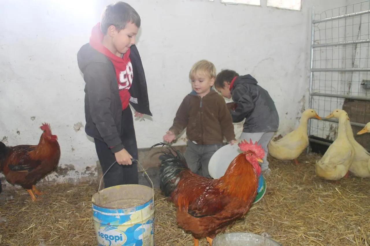 Farm stay Casa Rural El Ribero I Llanteno