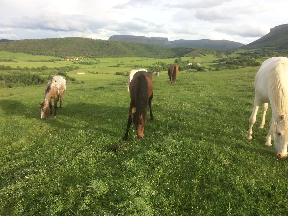 Casa Rural El Ribero I Llanteno 0*,